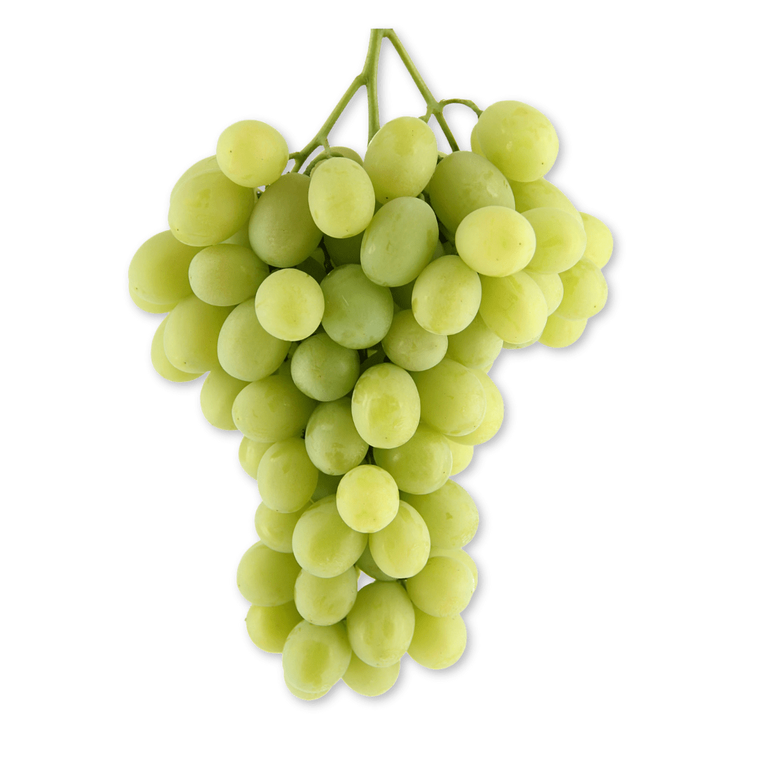 3Fruit - Social Media Post -min