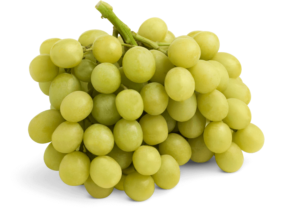 AUTUMNCRISP grape bundle