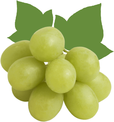 Small bundle of AUTUMNCRISP grapes