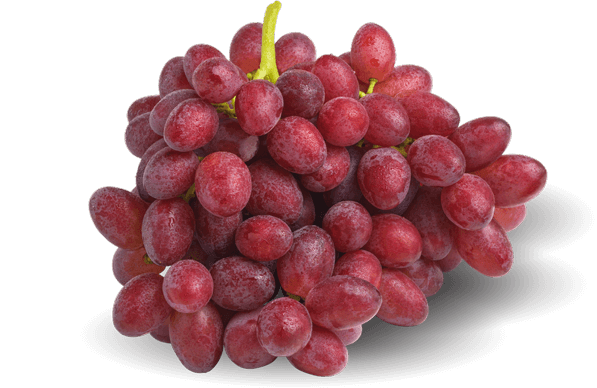 RUBY RUSH® Grapes